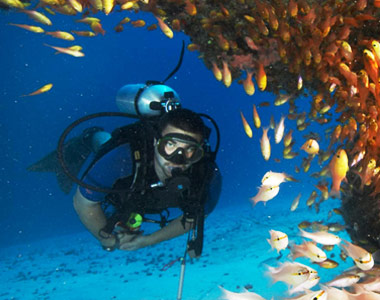 Coral Reef Exploration