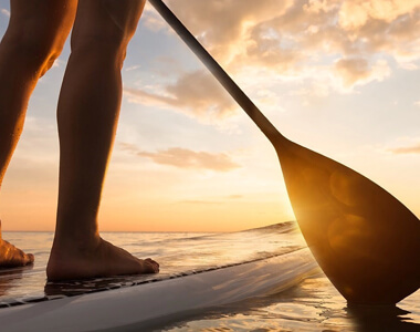 Paddle Paradise